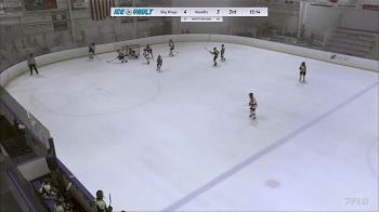 Replay: Home - 2024 Skyland U14 vs Bandits 14U A | Jan 13 @ 4 PM