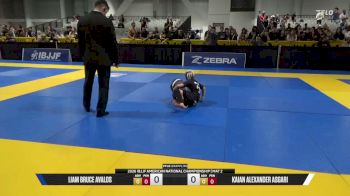 Kaian Alexander Asgari vs Liam Bruce Avalos 2026 American National IBJJF Jiu-Jitsu Championship
