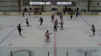 Replay: Home - 2025 EastmanU18 AAA vs Cougars U18 AAA | Jan 25 @ 7 PM