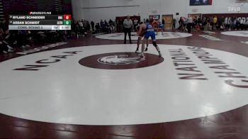 165 lbs Cons. Round 2 - Ryland Schneider, UW - La Crosse vs Addan Schmidt, Luther