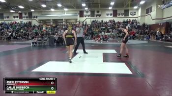 115 lbs Cons. Round 3 - Callie Nosbisch, Vinton-Shellsburg vs Averi Peterson, Mason City