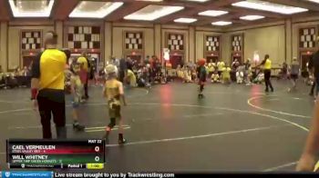 46 lbs Quarterfinals (8 Team) - Cael Vermeulen, Steel Valley Red vs Will Whitney, Upper Twp Green Hornets