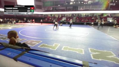 138 lbs Champ. Round 1 - Zander Grow, Capital vs Kayden Gower, Mountain View