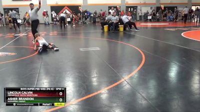 SPW-4 lbs Round 2 - Lincoln Calvin, Mediapolis Youth Wrestling vs Asher Brandon, Hammerin Hawks