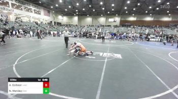 123 lbs 3rd Place - Aj Dolbear, Lakeview vs Noel Mendez, Ram WC