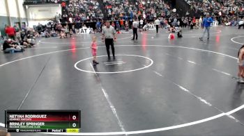 32-41 lbs Round 2 - Netyah Rodriguez, Kearney Matcats vs Brinley Springer, McCook Wrestling Club