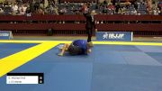 Dayton Michael Hall vs Jakob Eli Walter 2024 Pan IBJJF Jiu-Jitsu No-Gi Championship