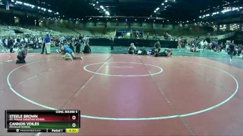 190 lbs Cons. Round 5 - Steele Brown, Mt. Pisgah Christian School vs Cannon Voiles, McCallie School