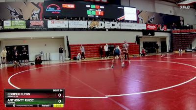 125 lbs Quarterfinal - Anthonty Ruzic, Illinois vs Cooper Flynn, Minnesota