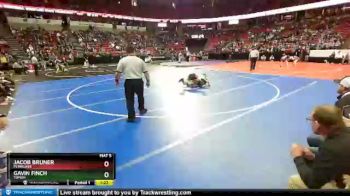 D1-145 lbs Champ. Round 1 - Jacob Bruner, Pewaukee vs Gavin Finch, Tomah