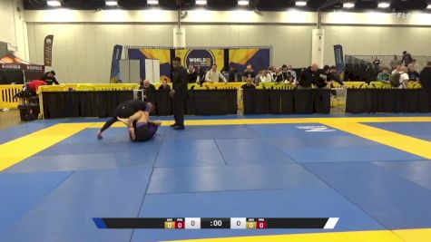 Ashley Christina Greer vs Stephanie Laura Robinson 2024 World IBJJF Jiu-Jitsu No-Gi Championship