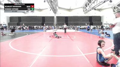 53 lbs Rr Rnd 4 - Scarlett McKeown, Mat Assassins Blue vs Dominic Offner, Pursuit Wrestling Academy