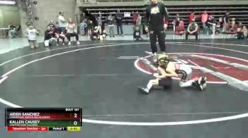 42 lbs Semifinal - Aiden Sanchez, Sanderson Wrestling Academy vs Kallen Causey, Canyon View Falcons