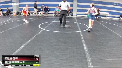 96 lbs Finals (2 Team) - Ben Holober, VA Patriots vs Dominic DiGirolamo, Doughboy