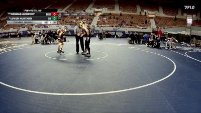 132-D2 Champ. Round 1 - Luyed Hurtado, Horizon High School vs Thomas Godfrey, Barry Goldwater High School