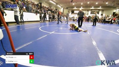 37 lbs Rr Rnd 1 - Hunter Prose, Jay Wrestling Club vs Clara Collier, Sperry Wrestling Club