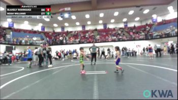 37 lbs Consi Of 4 - Blakely Rodriguez, Chickasha Youth Wrestling vs Noah Williams, Standfast