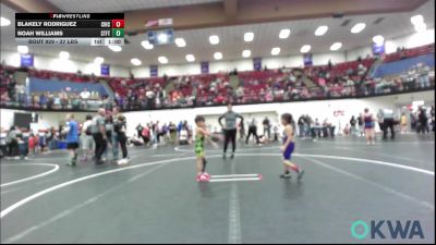 37 lbs Consi Of 4 - Blakely Rodriguez, Chickasha Youth Wrestling vs Noah Williams, Standfast