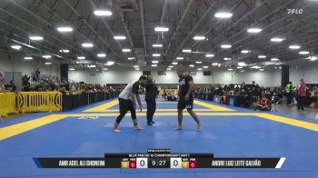 Andre Luiz Leite Galvão vs Amr Adel Ali Ghoneim 2026 Pan IBJJF Jiu-Jitsu No-Gi Championship