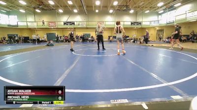 85-95 lbs Round 3 - Aydan Walker, Rogue Warrior Wrestling vs Michael Hess, Little Express Hess