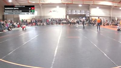 174 lbs Champ. Round 1 - Damiano Cappellini, UW Parkside vs Harrison Smith, Thomas More