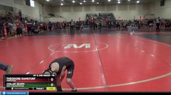 45 lbs Champ. Round 1 - Theodore Ramstorf, Princeton vs Collin Quam, New London Spicer