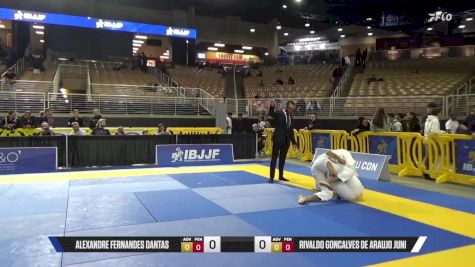 Rivaldo Goncalves De Araujo Juni vs Alexandre Fernandes Dantas 2025 Pan Jiu Jitsu IBJJF Championship