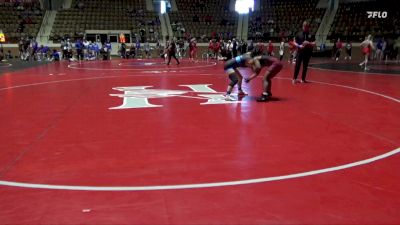 138 lbs Quarterfinal - Jermariah Ferguson, Texas Woman`s University vs Bianca Hart, Unattached