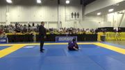 Alexandra Sergeyevna Vorobyeva vs Rachel Marie Hamilton 2025 World IBJJF Jiu-Jitsu No-Gi Championship