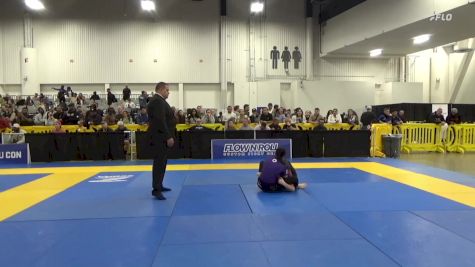 Alexandra Sergeyevna Vorobyeva vs Rachel Marie Hamilton 2025 World IBJJF Jiu-Jitsu No-Gi Championship