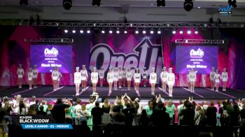 HCA Gems - Black Widow [2025 L3 Junior - D2 - Medium Day 3] 2025 One Up Grand Nationals