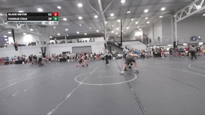 175 lbs Semis & 1st Wrestleback (8 Team) - Blake Meyer, Palm City Thundercats vs Charlie Cole, Este Built Prime