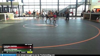 B-15 lbs Semifinal - Carver Crippen, DC Elite vs Heisman Penner, Western Dubuque Little Bobcats