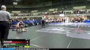 132 lbs Round 1 (4 Team) - Talon Rabe, Dover Eyota vs Andrew Larson, Wayzata