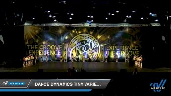 Dance Dynamics - Dance Dynamics Tiny Variety [2019 Tiny - Variety Day 2] 2019 Encore Championships Houston D1 D2