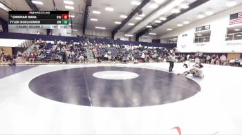 174 lbs Champ. Round 2 - Cristian Gioia, New York University vs Tyler Boelhower, Springfield College