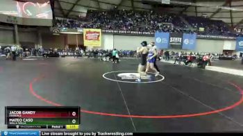 3A 145 lbs Quarterfinal - Jacob Gandy, Ferndale vs Mateo Caso, Walla Walla