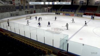 Replay: Home - 2024 SS Kings U10 vs Sabres U10 | Nov 29 @ 6 PM