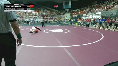 138 lbs Cons. Semi - Beau Underwood, Tonganoxie HS vs Sammy Hershberger, Buhler HS