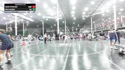 115 lbs Rr Rnd 5 - Cade Strauss, Northampton - HS vs Nick Guzzo, Council Rock North - HS