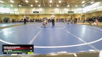 90 lbs Quarterfinal - Rocklan Kurzinsky, Wave Wrestling Club vs Asa Welk, Springdale Youth Wrestling Clu