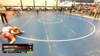 133 lbs Cons. Round 3 - Justin Hames, Elmhurst College vs Garson Mattney, Wabash
