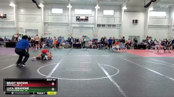 88 lbs Round 8 (10 Team) - Brady Watson, Ohio Gold 24K vs Luca Seramone, Team Diamond Fish