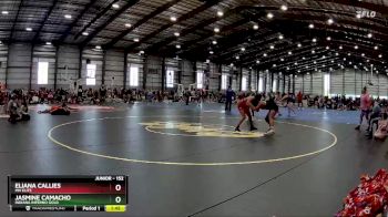 152 lbs Quarterfinal - Eliana Callies, MN Elite vs Jasmine Camacho, Indiana Inferno Gold