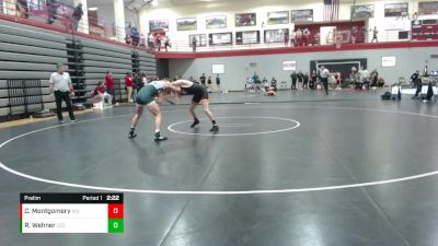 133 lbs Prelim - Chase Montgomery, Wheeling vs Ryan Wehner, Lake Erie