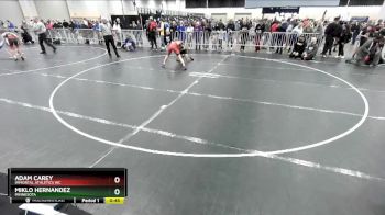 114 lbs Quarterfinal - Miklo Hernandez, Minnesota vs Adam Carey, Immortal Athletics WC