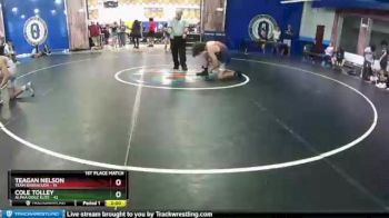 195 lbs Finals (2 Team) - Cole Tolley, Alpha Dogz Elite vs Teagan Nelson, Team Barracuda