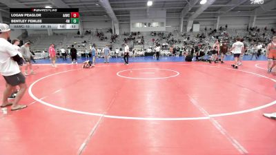 135 lbs Rr Rnd 1 - Logan Peaglor, All-American Wrestling Club MS vs Bentley Femlee, 4M