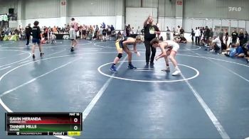 110 lbs Champ. Round 1 - Tanner Mills, Dundee vs Gavin Meranda, Warrior RTC