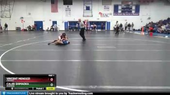 141 lbs Champ. Round 1 - Caleb Shimaoka, Dubuque vs Vincent Menozzi, Chicago